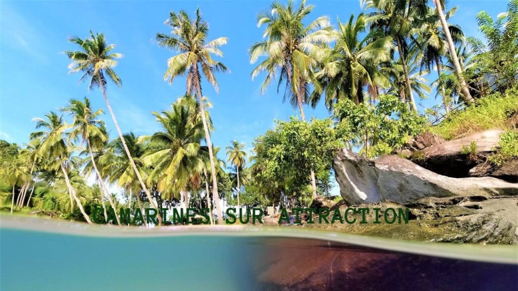 Camarines Sur